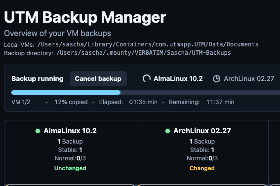 Laufendes Backup mit Fortschrittsbalken, Anzeige der zu sichernden VMs, verstrichener und verbleibender Zeit